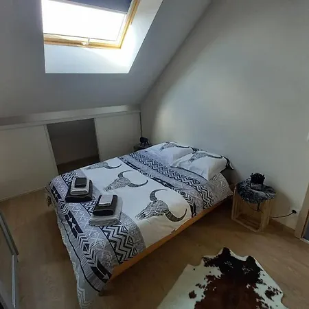 Le Petit Chalet De Planaz Desingy